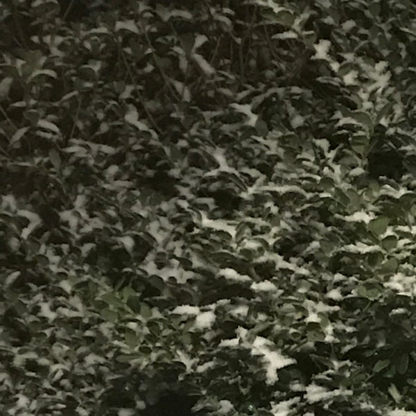 Bethesda, MD - 1 tip