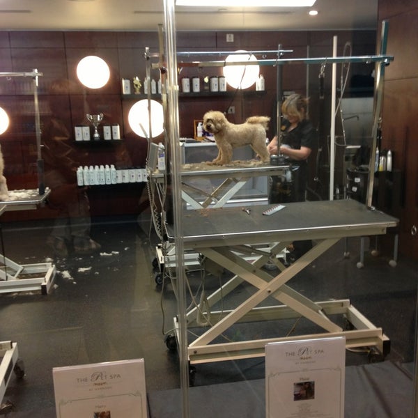 Harrods Pet Kingdom (Now Closed) Knightsbridge and Belgravia 4 tips