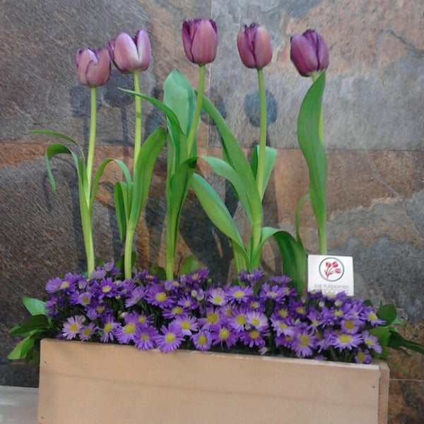 Los Tulipanes Floreria Zavaleta Camino Real a Cholula 5330