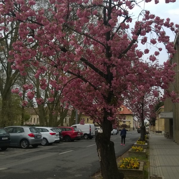 Sárvár - City