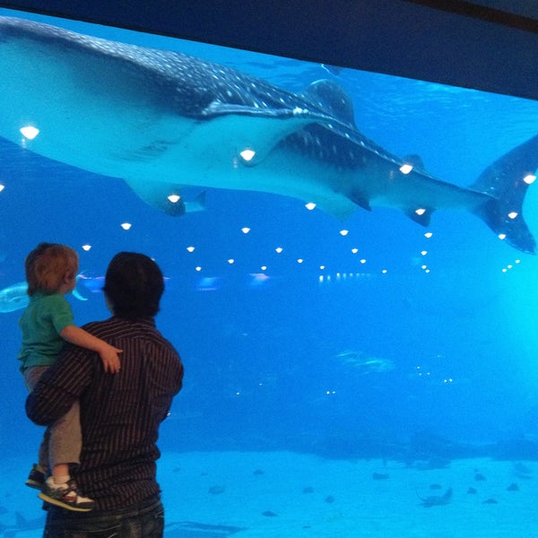 Atlanta georgia aquarium coupons