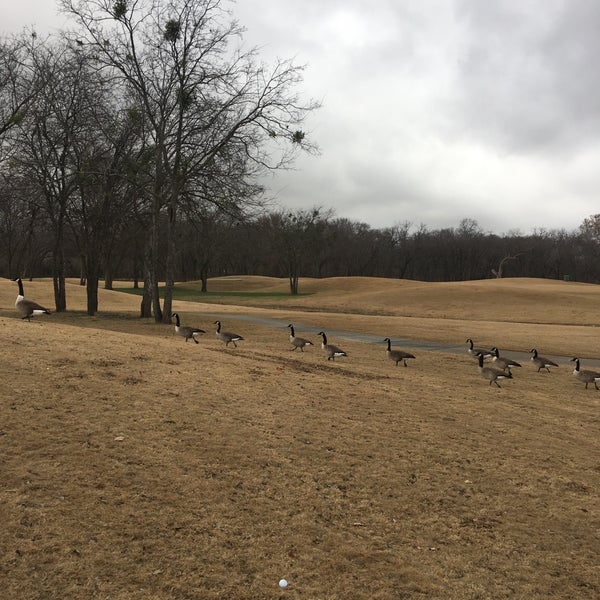 Firewheel Golf Course 7 tips from 439 visitors