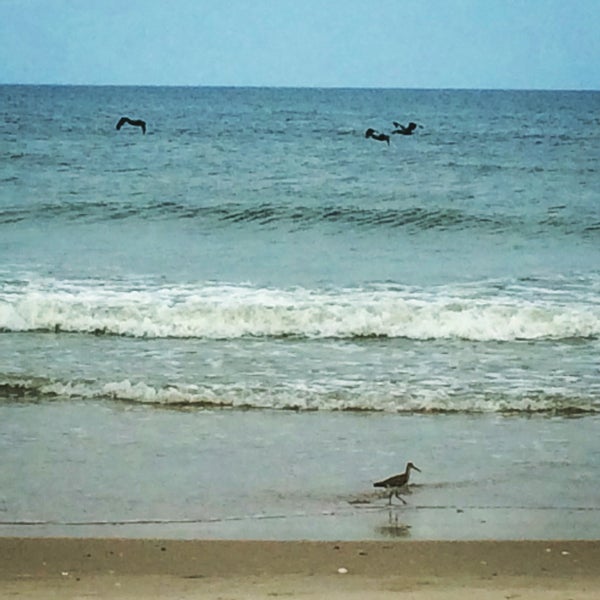 Bald head island club 4 tips