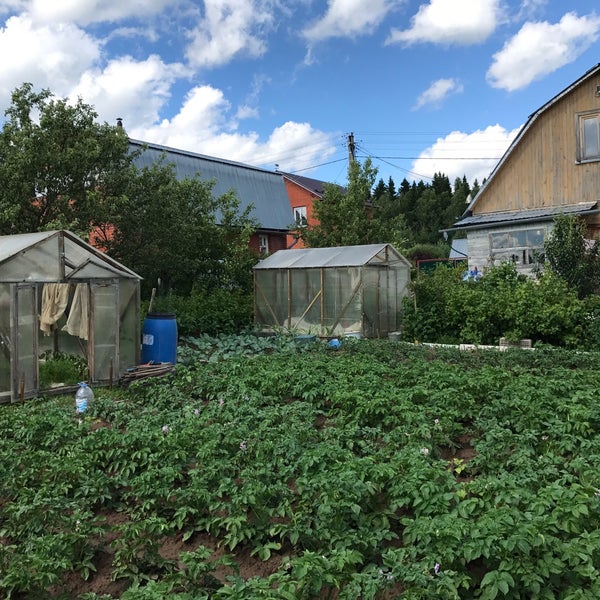 Карта лукошкино деревня