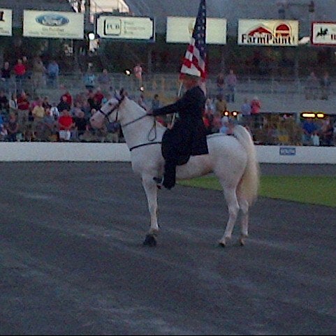 Tennessee Walking Horse National Celebration - Shelbyville, TN