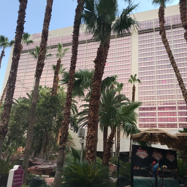 Flamingo Garden Gazebo The Strip Las Vegas, NV