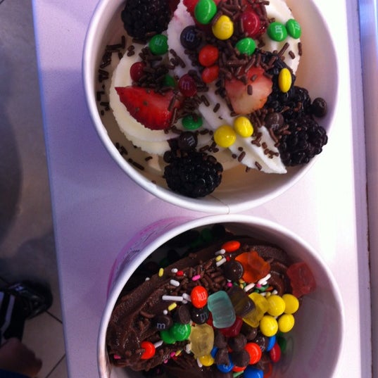van nuys frozen yogurt van nuys frozen yogurt