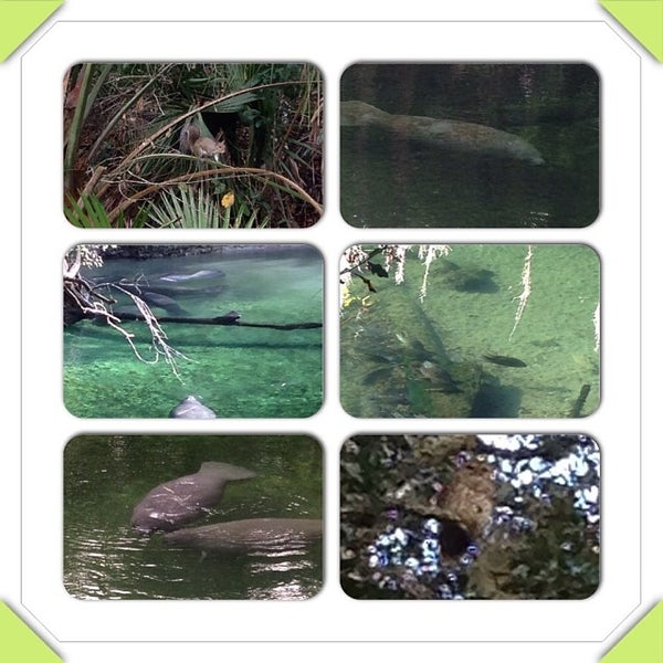 Blue Springs Swimming Dock Hot Spring in Orange City