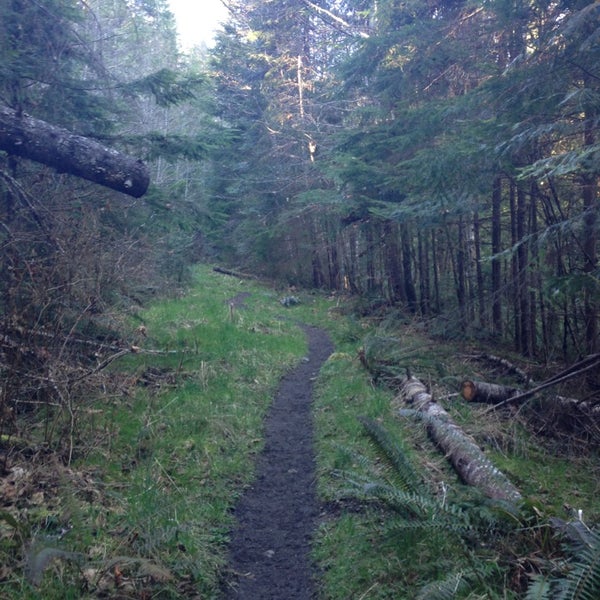 Olympic National Forest Forest in Humptulips