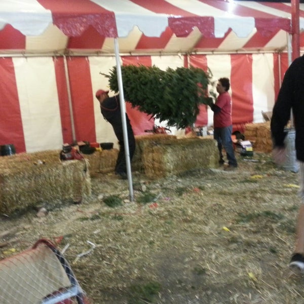 christmas tree lot now closed south valley los christmas tree lot now closed south valley los