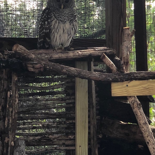 Florida Keys Wild Bird Center Zoo in Tavernier