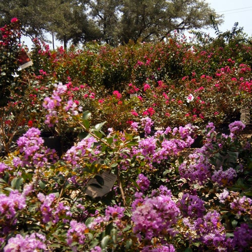 The Garden Center Northwest Side 4 Tips