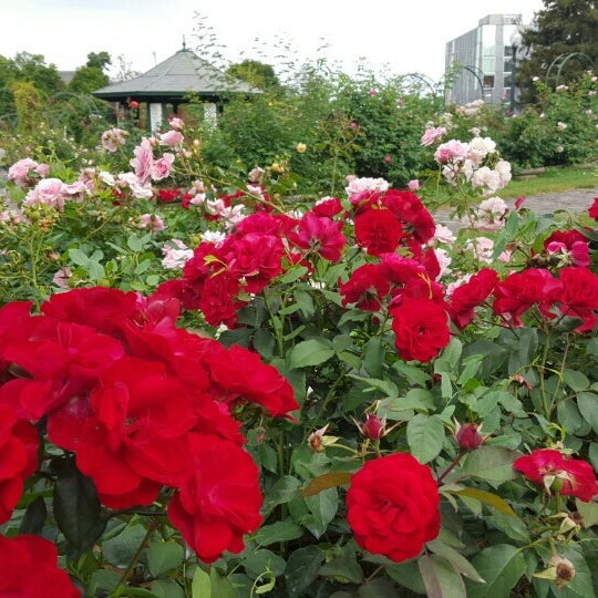 Upstate Ny Day Trips 10 Magnificent Gardens Open To The