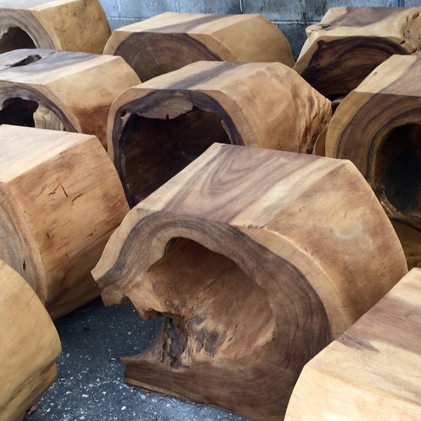 Decor Direct Whole Warehouse Home Facebook Image May Contain Plant Tree Flower Outdoor And Nature