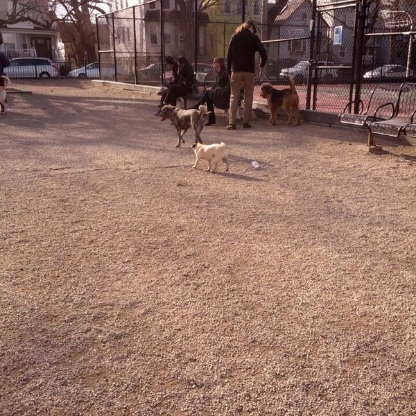 Hamlin Dog Park Roscoe Village 10 tips