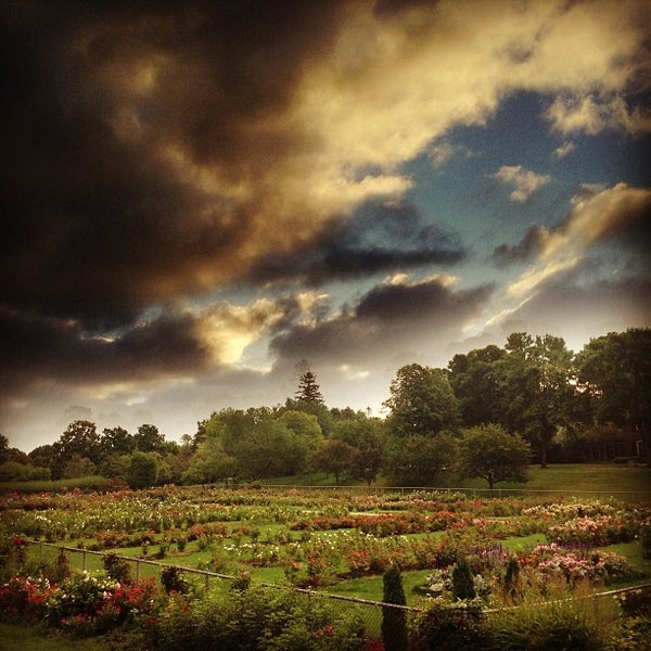 Lyndaleparkrosegarden Public Gardens Of Minnesota