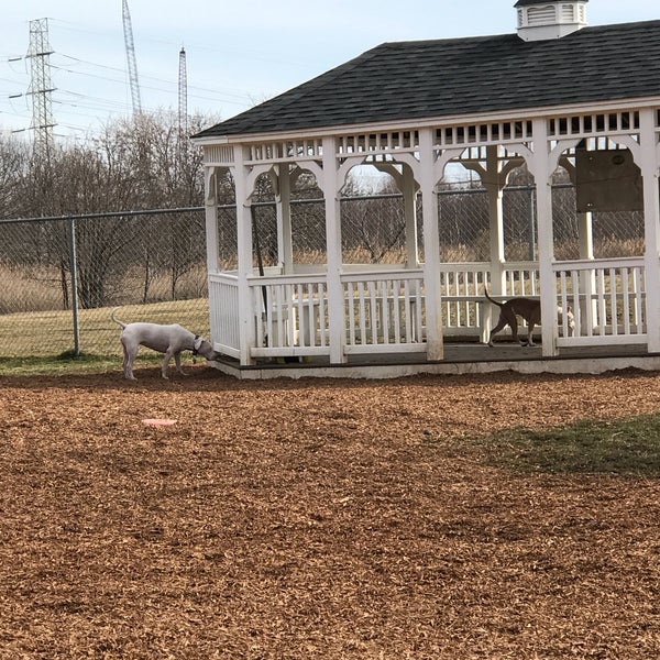 Woodbridge Dog Park 8 tips from 100 visitors