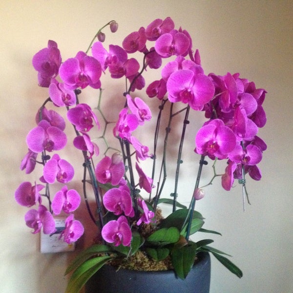 Mike & Anne's American Restaurant in South Pasadena