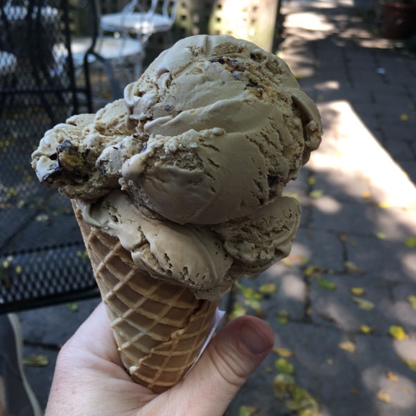 Can Dogs Have Ice Cream Vanilla Can Dogs Have Ice Cream Vanilla
