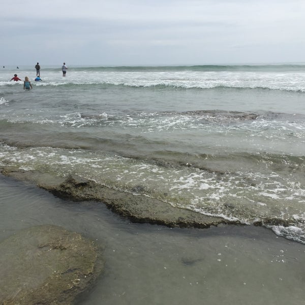 Bicentennial Park - Beach