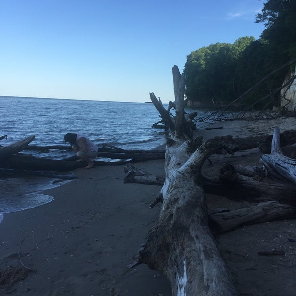 Brownie's Beach 1 tip from 54 visitors