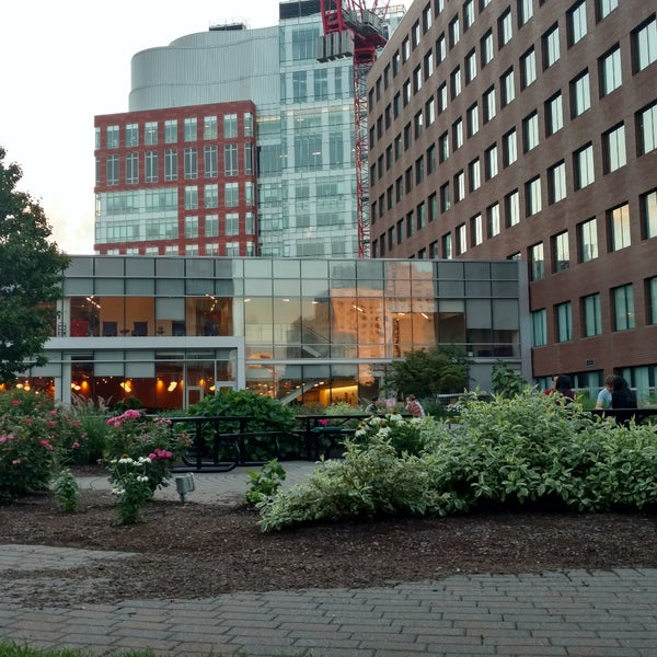Cambridge Center Roof Garden Garden in Cambridge