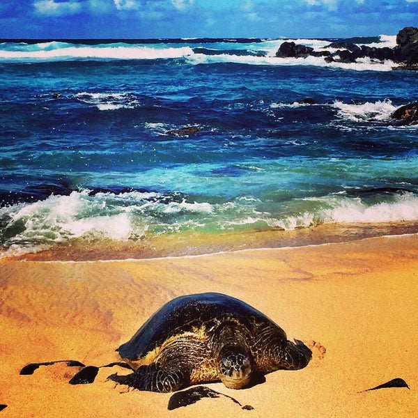 Where's Good? Holiday and vacation recommendations for Maui, United States. What's good to see, when's good to go and how's best to get there.