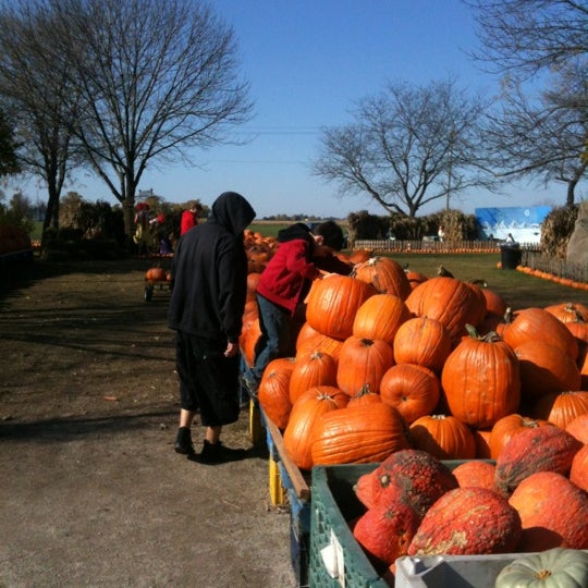 Jerry Smith Pumpkin Farm Farm