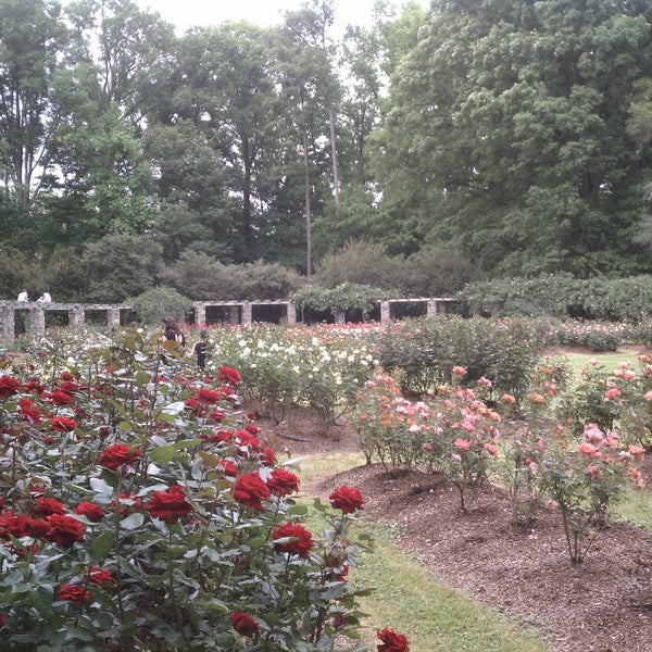 Raleigh Rose Garden 17 tips from 797 visitors