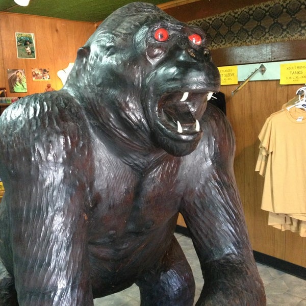 Skunk Ape Research Center