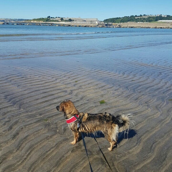 Par Sands Beach Beach in Par