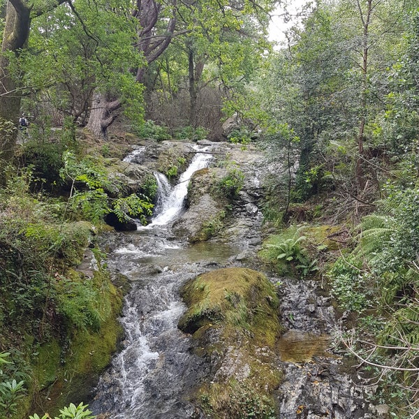 Donard Park 98 visitors