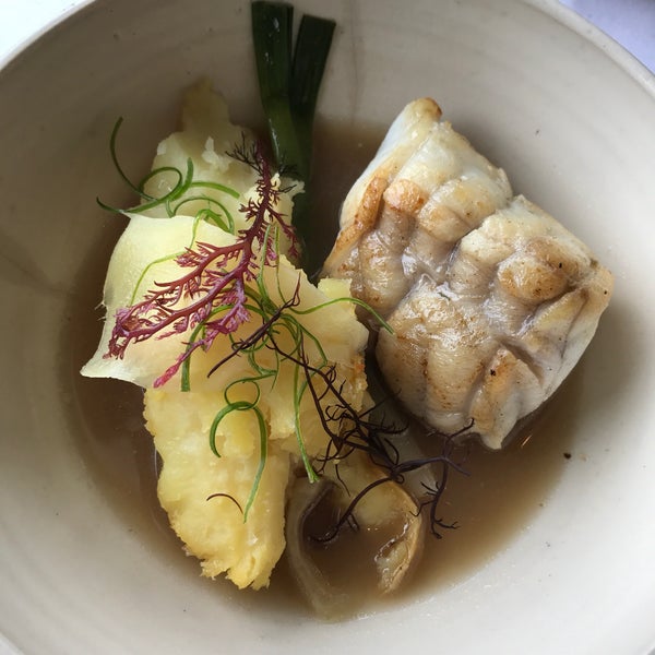 Lord Stanley Polk Gulch 16 tips