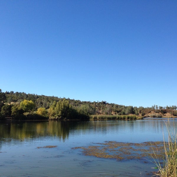 Swingers in blue lake ca