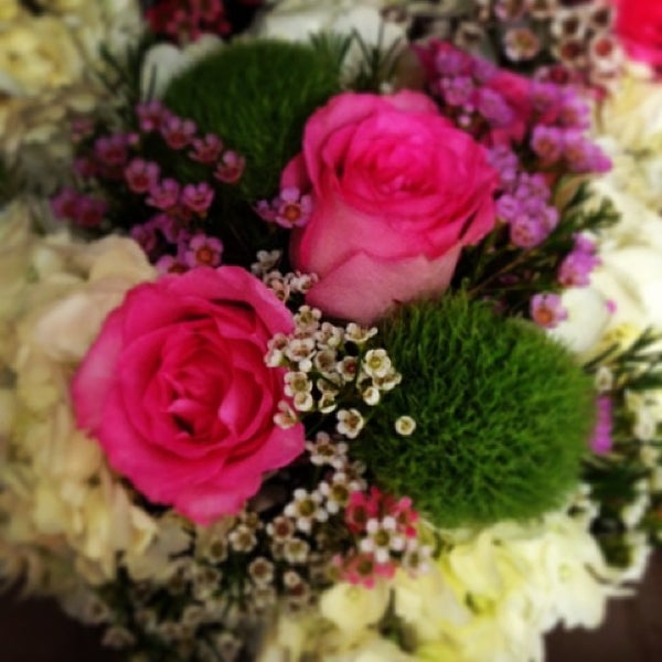 Petals & Roots Astoria 3127 31st St