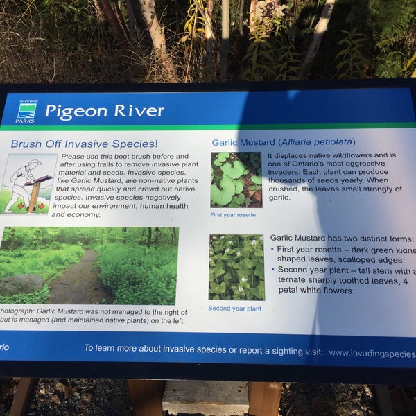 Pigeon River Border Crossing Border Crossing in Grand Portage