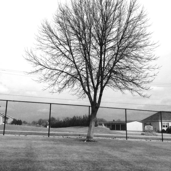 Village of Denmark 746 visitors