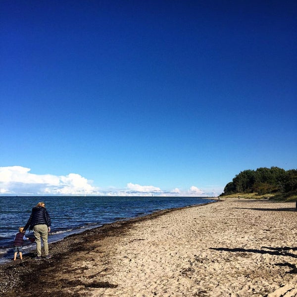 Strand Groß Schwansee - Beach in Kalkhorst