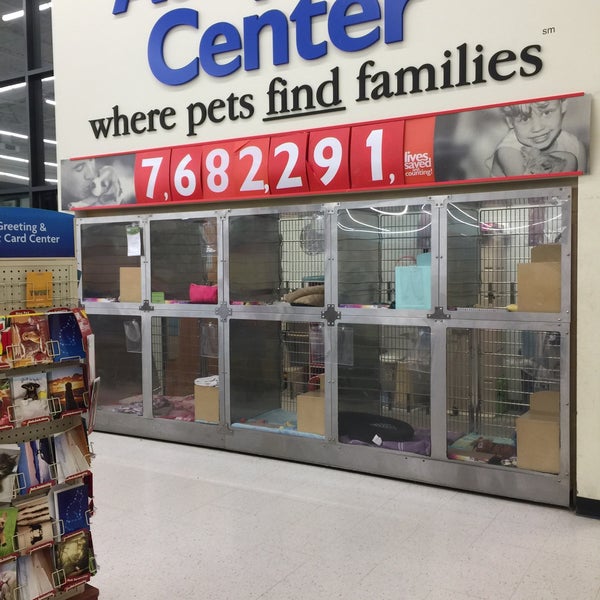 PetSmart Manchester, CT