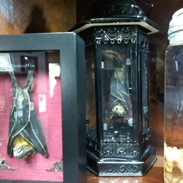 Noir Arts and Oddities Antique Shop in Kansas City