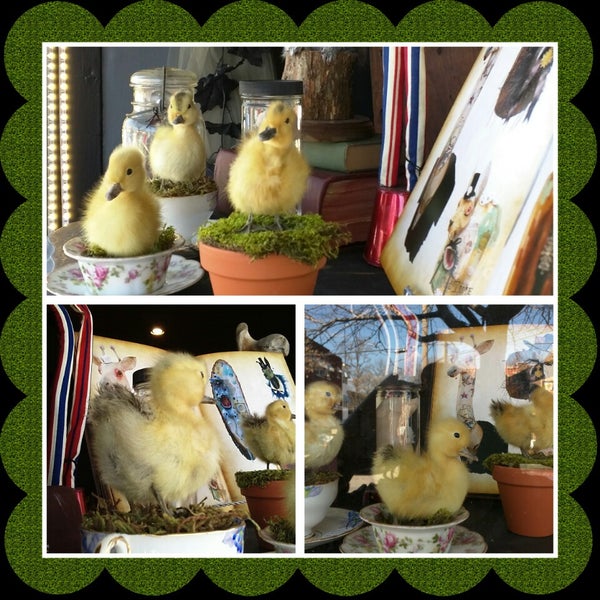 Noir Arts and Oddities Antique Shop in Kansas City