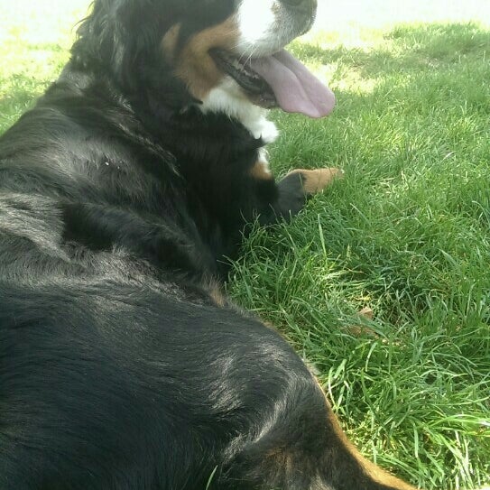 Senem Boutique Arts & Crafts Store