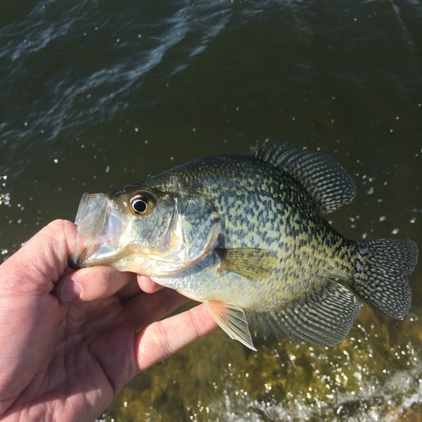 Lawrence Youngman Park Lake in Elkhorn