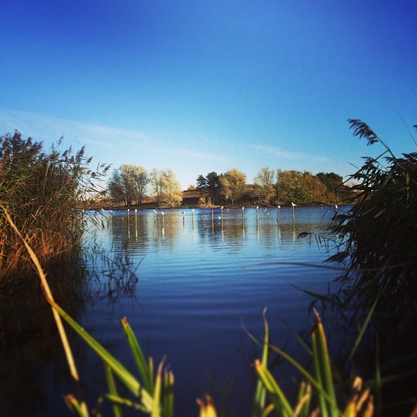 Willen Lake Lake in Milton Keynes