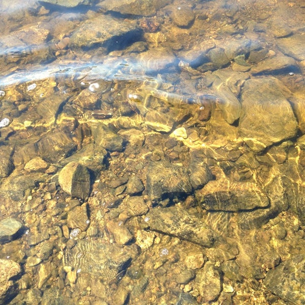 East Musquash Lake Topsfield, ME