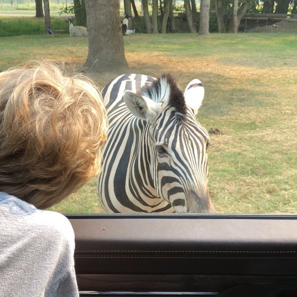 Olympic Game Farm 15 tips