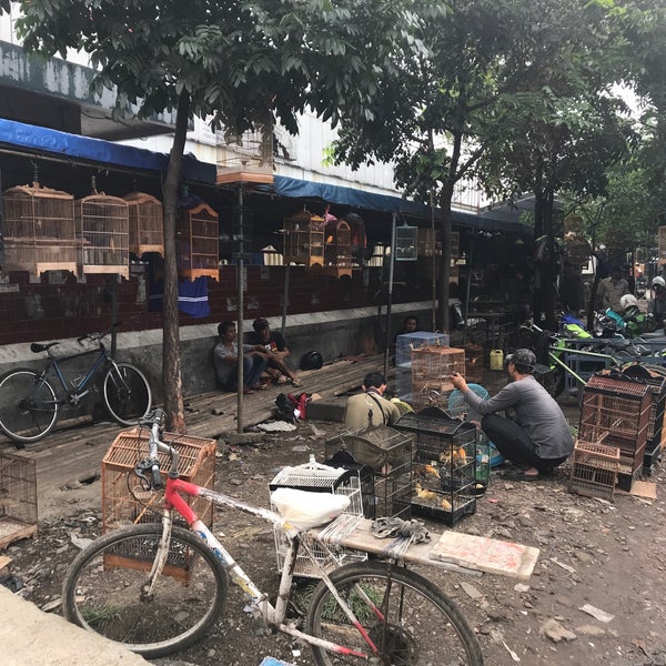 Pasar Burung Sukahaji - Pet Store