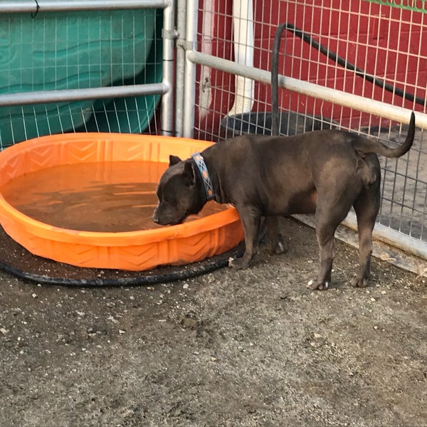 Baldwin Park Animal Shelter Building in Baldwin Park