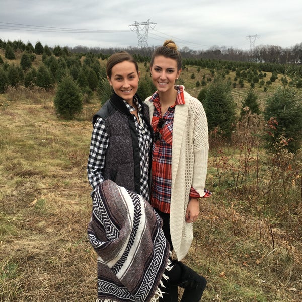 次での写真 cherry hill christmas tree farm 19人の訪問者 次での写真 cherry hill christmas tree farm 19人の訪問者