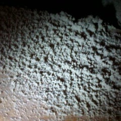 Photos At Be Amazed Carpet Cleaning 715 N Gow St Photo Taken At Be Amazed Carpet Cleaning By On 5 12